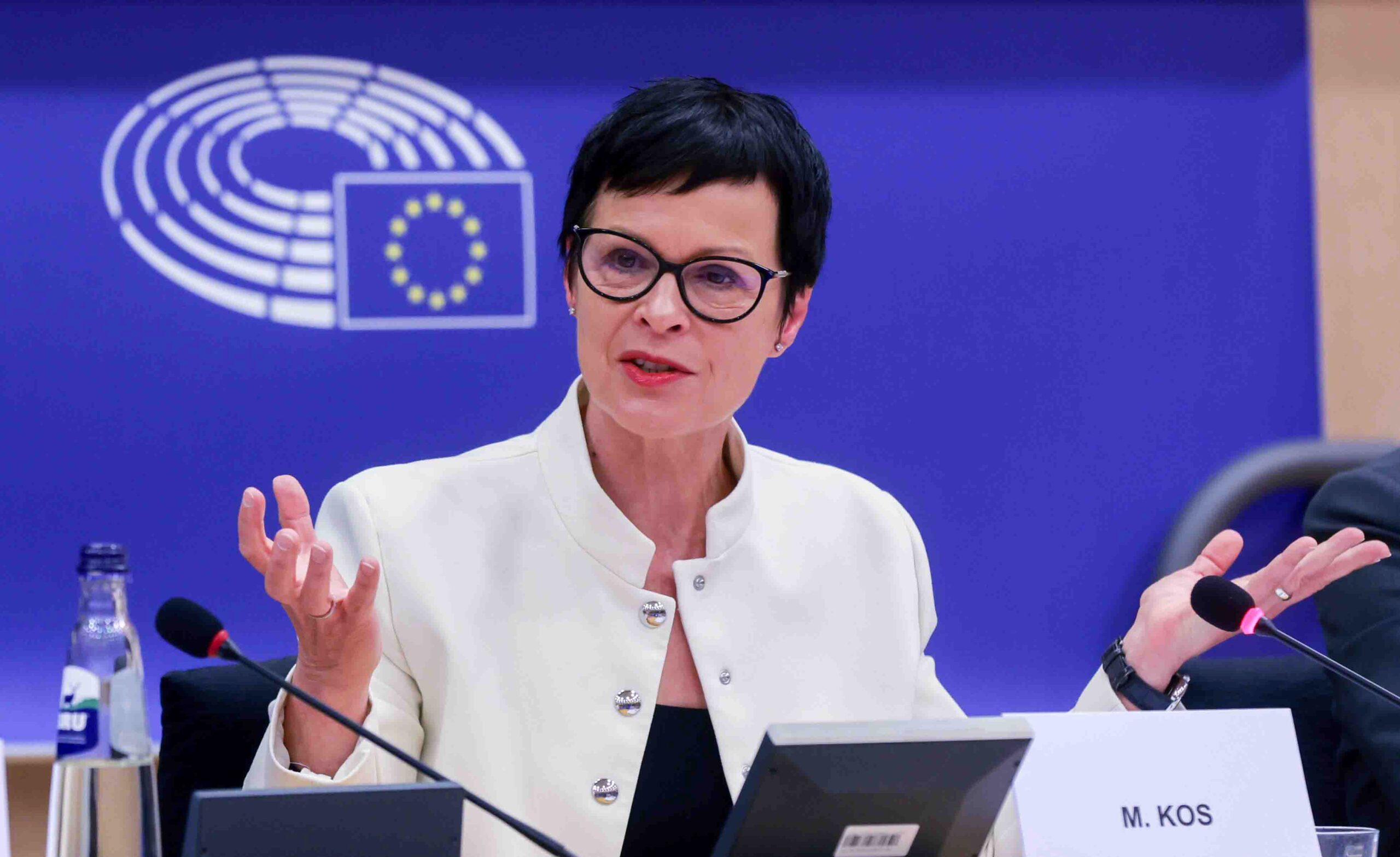 Наталя Лігачова  Вступ України до ЄС: вороги мріють побачити провал України